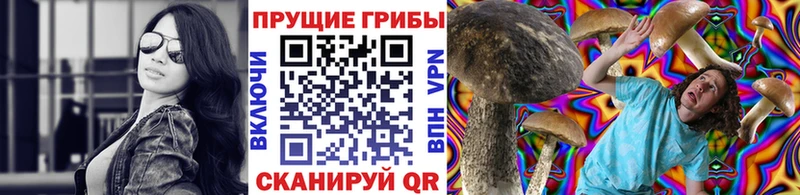 Псилоцибиновые грибы мицелий  дарк нет Telegram  Новоульяновск 